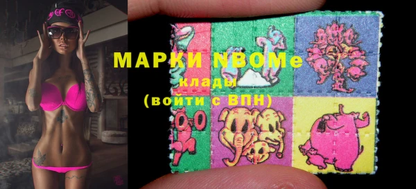 индика Армянск